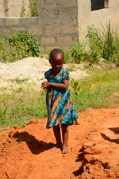 DSC_8654 (Large).JPG